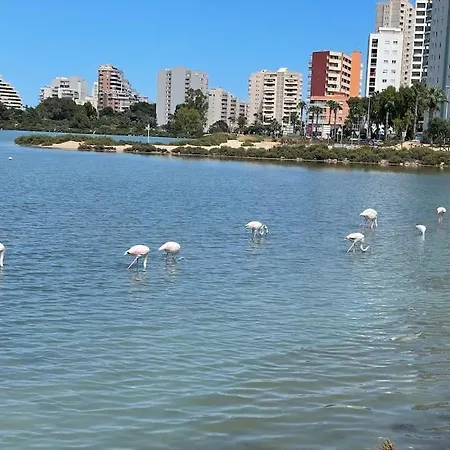 Aquariumplaya 公寓 卡尔佩