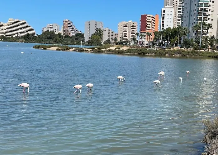 Aquariumplaya 公寓 卡尔佩